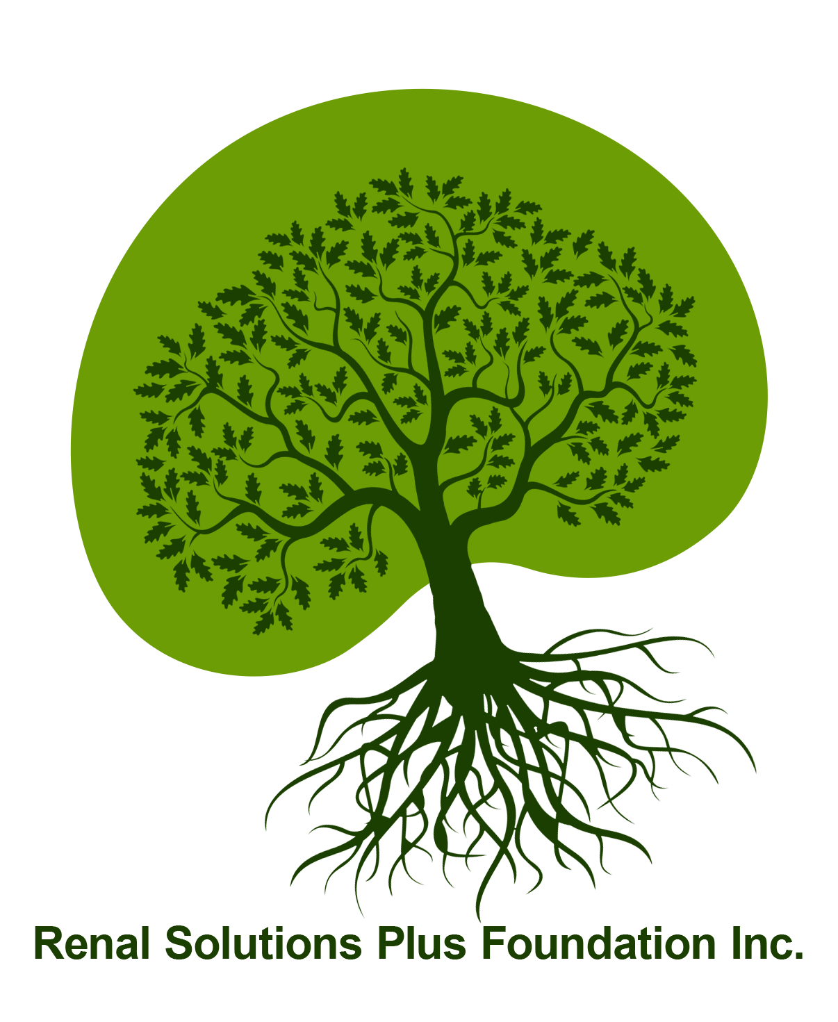 Renal Solutions Plus